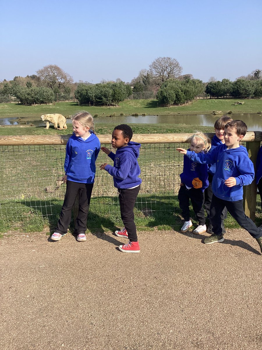 St Winefride's Catholic Primary Academy tweet media