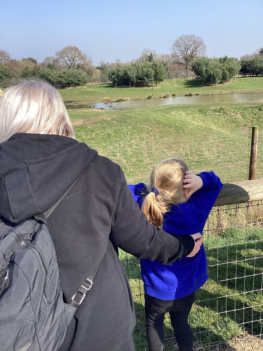 St Winefride's Catholic Primary Academy tweet media