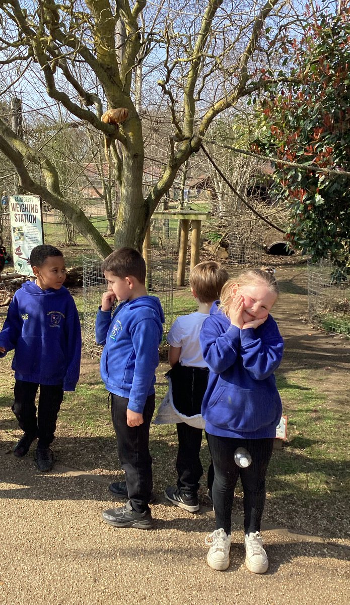 St Winefride's Catholic Primary Academy tweet media