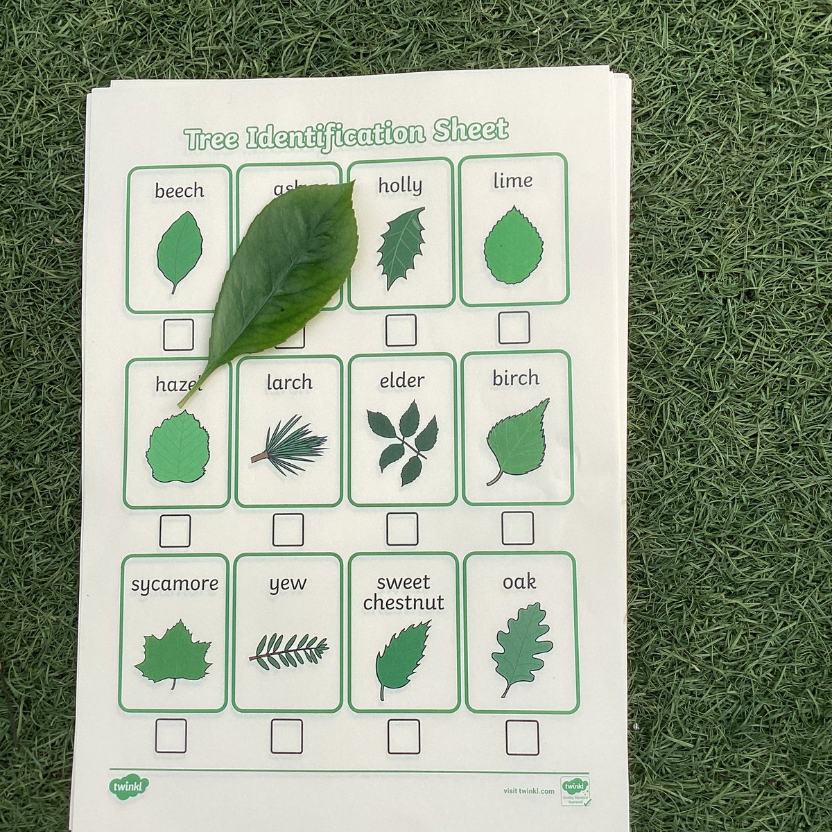 Year 1 @StSebastiansPri tweet media