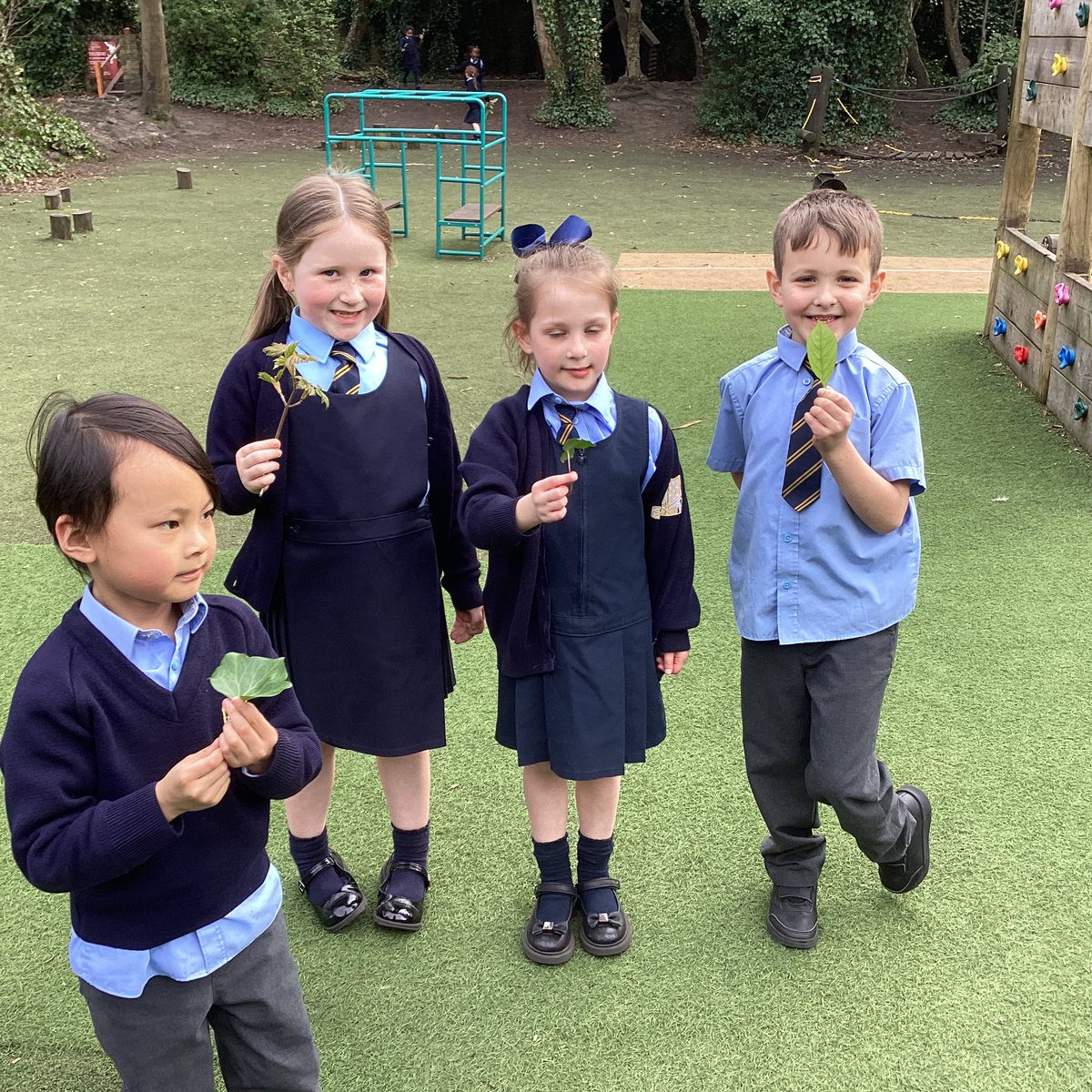 Year 1 @StSebastiansPri tweet media