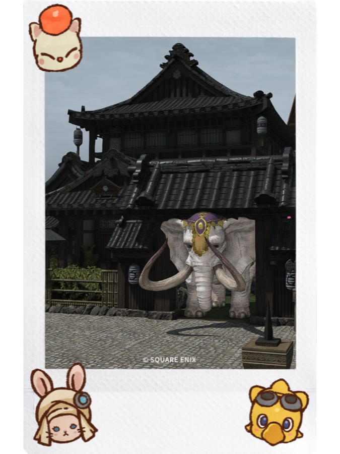 Major Props tweet media