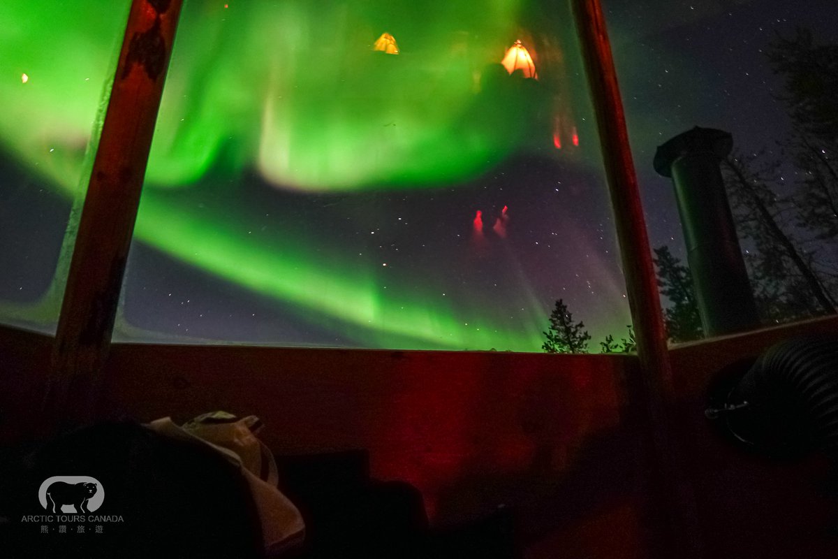 arctictourscan's tweet photo. Aurora was absolutely stunning last night, we could even see her from inside and outside glass tipi.
-------
#aurora #northernlights #nightphotography #tipi #traveltrend #viajar #오로라 #極光 #オーロラ #travel #explore #yellowknife #arctictourscanada https://t.co/T8t5aSH54j