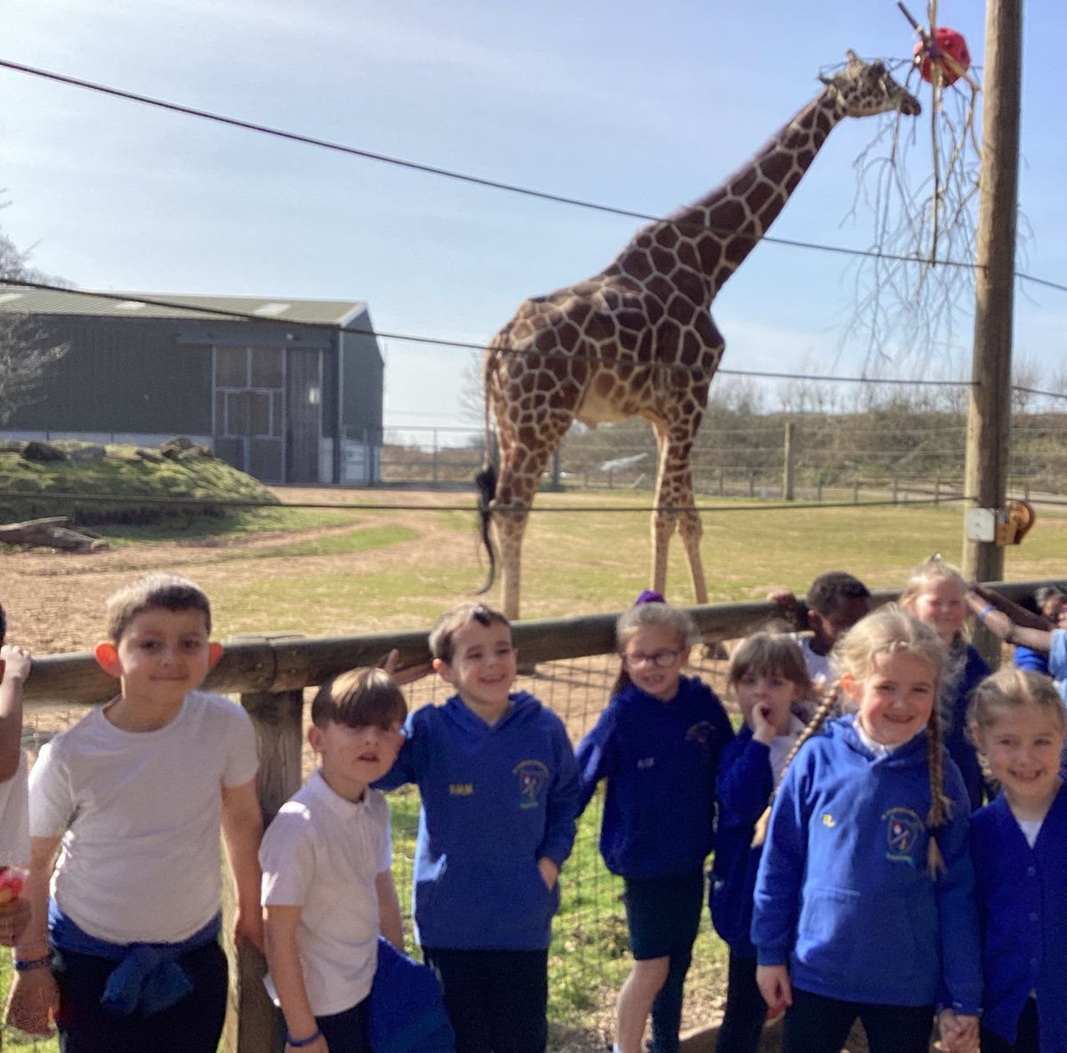 St Winefride's Catholic Primary Academy tweet media