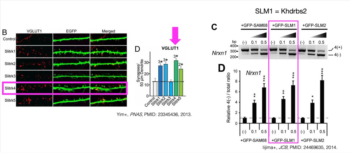 Kenneth Hoàng Phạm 🏳️‍🌈 tweet media