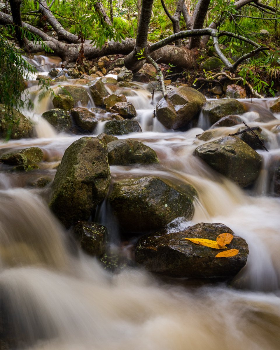 mujidrifts's tweet photo. Long Exposures… https://t.co/brsVwOkkDo