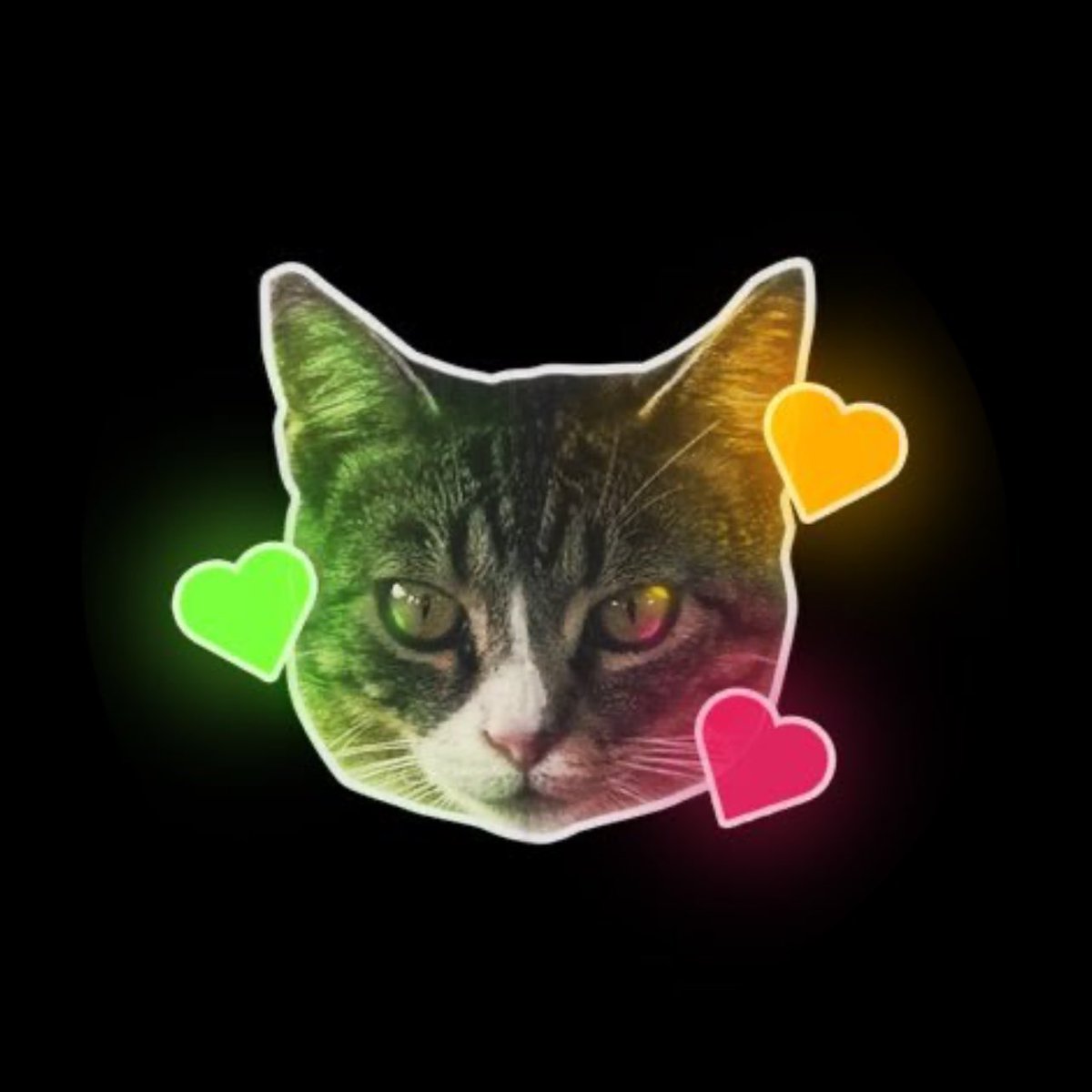 cleoemo's tweet image. 🚨BREAKING: cleoemo under FIRE for sharing AI generated video of Jordan Peterson claiming “cat raves are the cure to anxiety”

Fans pounder cleoemo’s political status and relationship availability.
