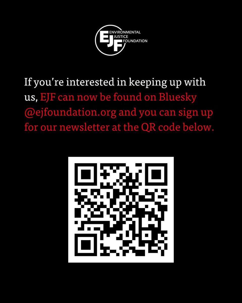 ejfoundation's tweet image. Our statement.