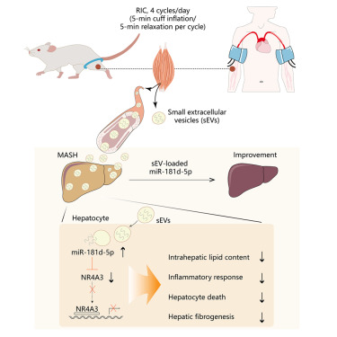 Cell Metabolism tweet media