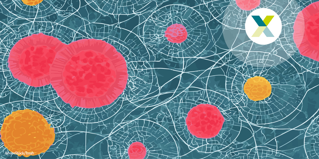 🎯 Grand Challenge-Projekt startet: Mit KI gegen Krebsmetastasen 👾
DECIPHER-M nutzt KI, um das individuelle Metastasierungsrisiko präziser vorherzusagen &amp; die beste Therapie zu finden.💸 Gefördert vom @BMBF_Bund. Mehr Infos👉 bit.ly/4ii3o5q #XgegenKrebs #Krebsforschung