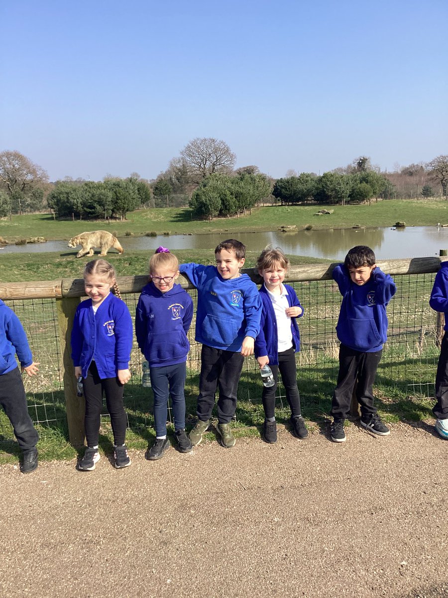 St Winefride's Catholic Primary Academy tweet media