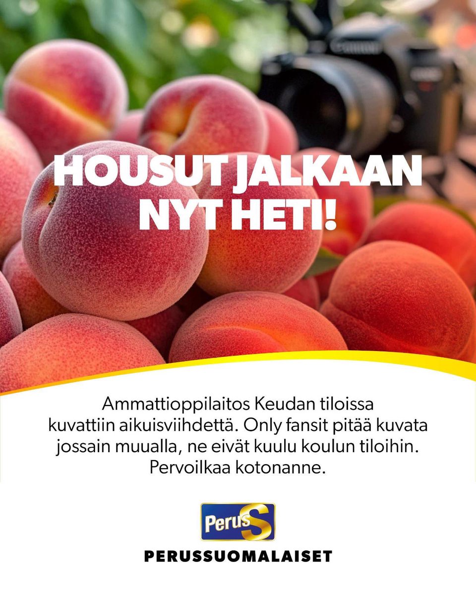 PS:n eduskuntaryhmä tweet media