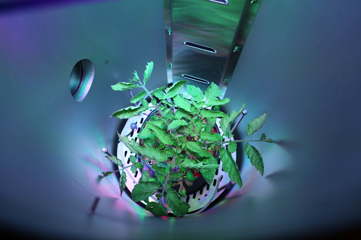 Space farming is no longer science fiction. Precision control over plant environments is unlocking new frontiers for food production—whether on Earth or beyond. The future of agriculture isn’t just about where we grow, but how. #ControlledEnvironment #Innovation <a href="/IntravisionGP/">Intravision Group</a>