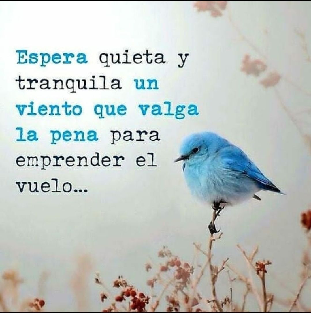 Paulo Coelho Español (@paulocoelhodice) on Twitter photo 
