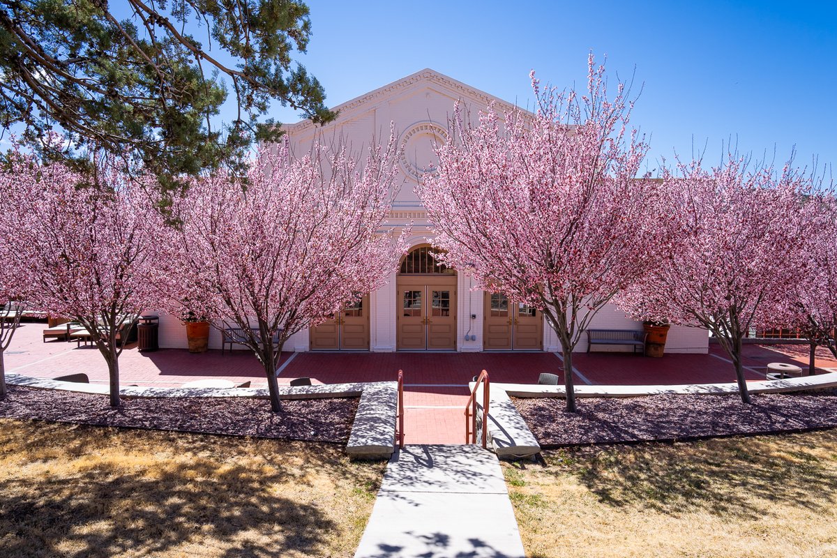 Welcome to the first official day of spring, Mustangs. Now that spring has (finally) sprung on campus, it's the perfect time to soak in some sunshine, enjoy the blooming surroundings and embrace new opportunities. 
#WNMU #spring #studentsinsilver