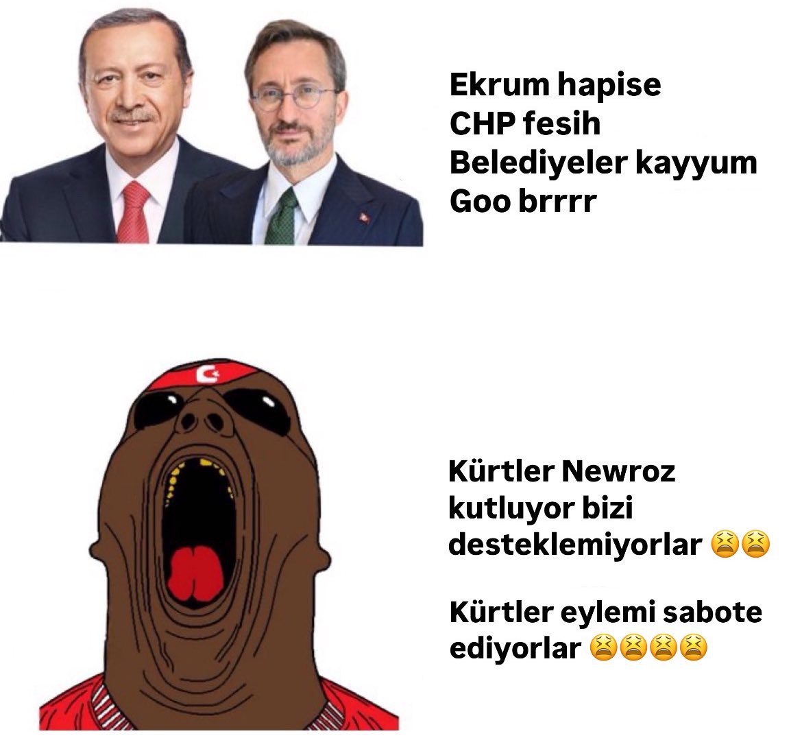Hamamböcekleri 🪳