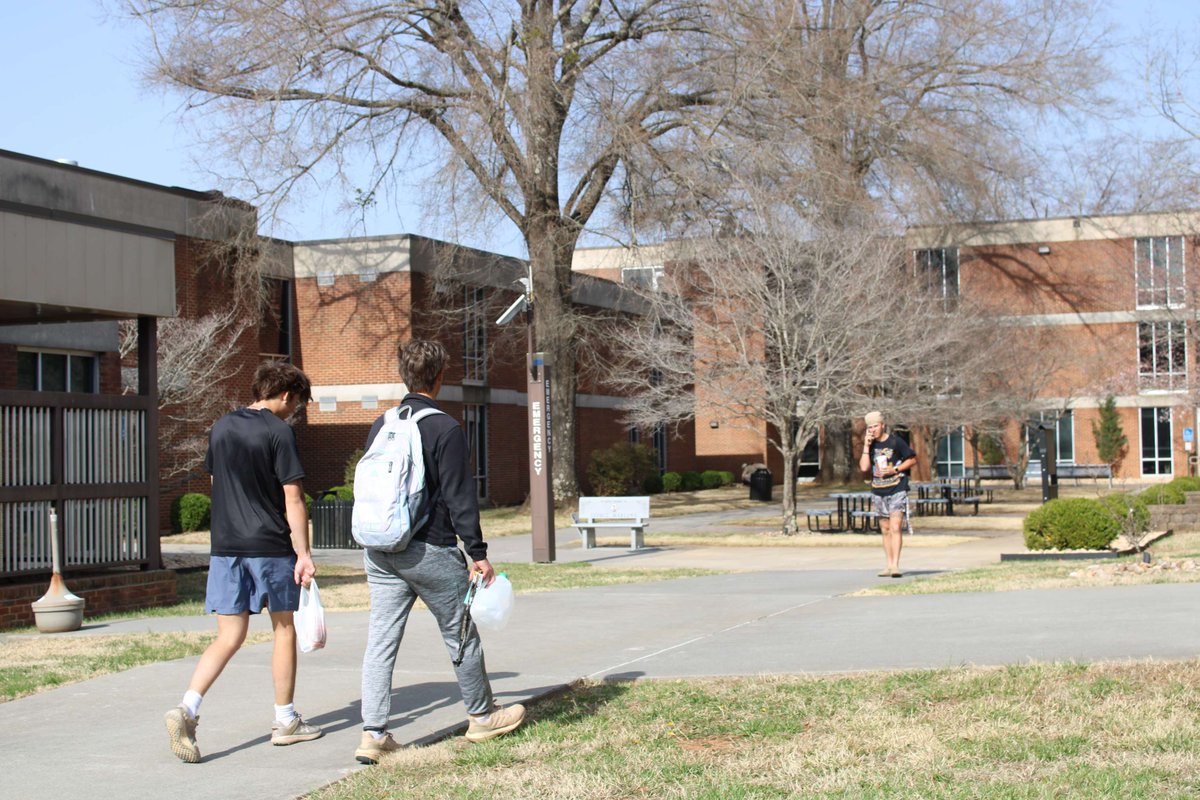 PatrickHenryCC's tweet photo. It's the first day of spring, and P&HCC is ready to embrace this new season of growth and opportunities! #SpringOnCampus https://t.co/UgGHjxNGUA