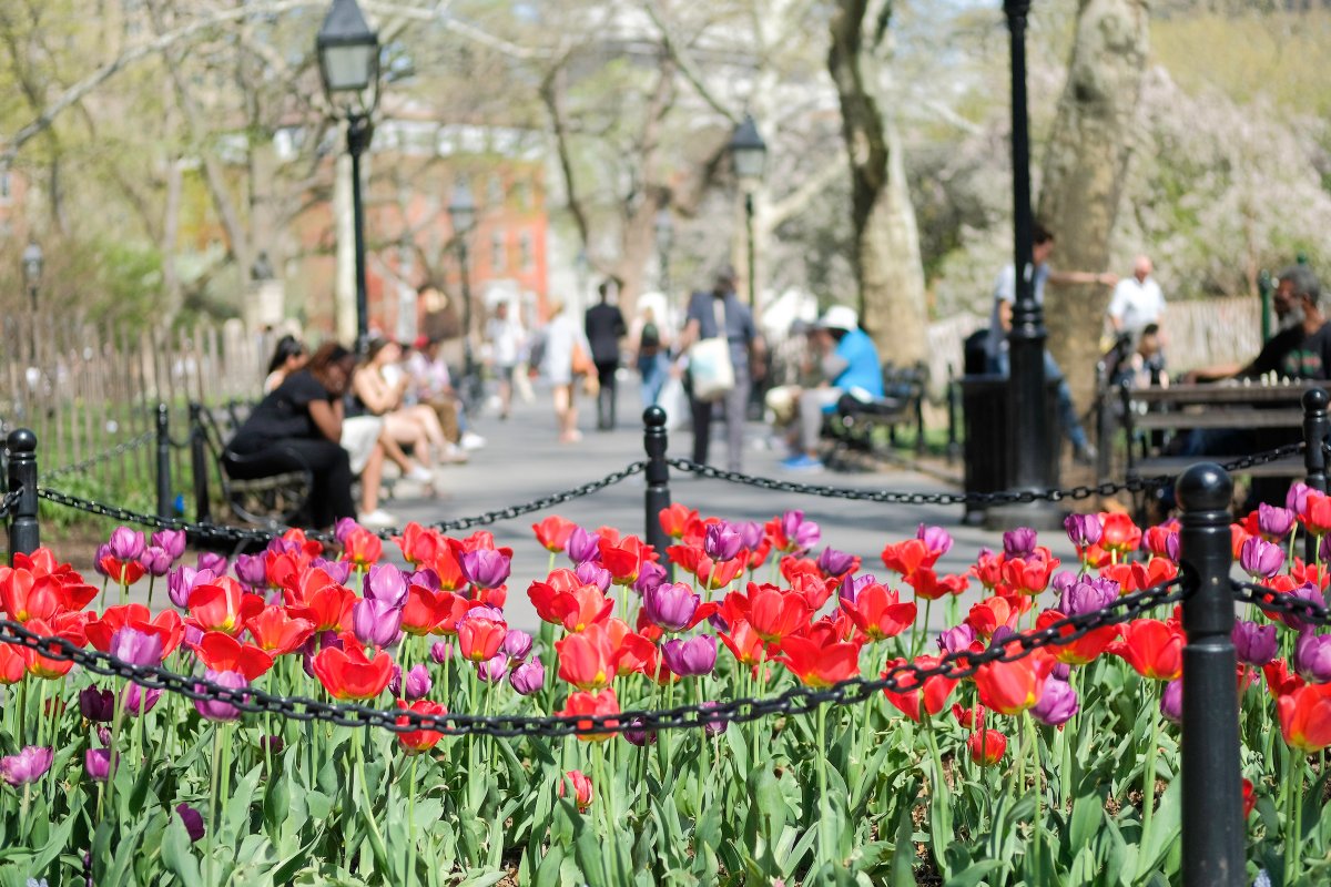 Happy first day of spring, NYC! 💐🌼🌺🌻