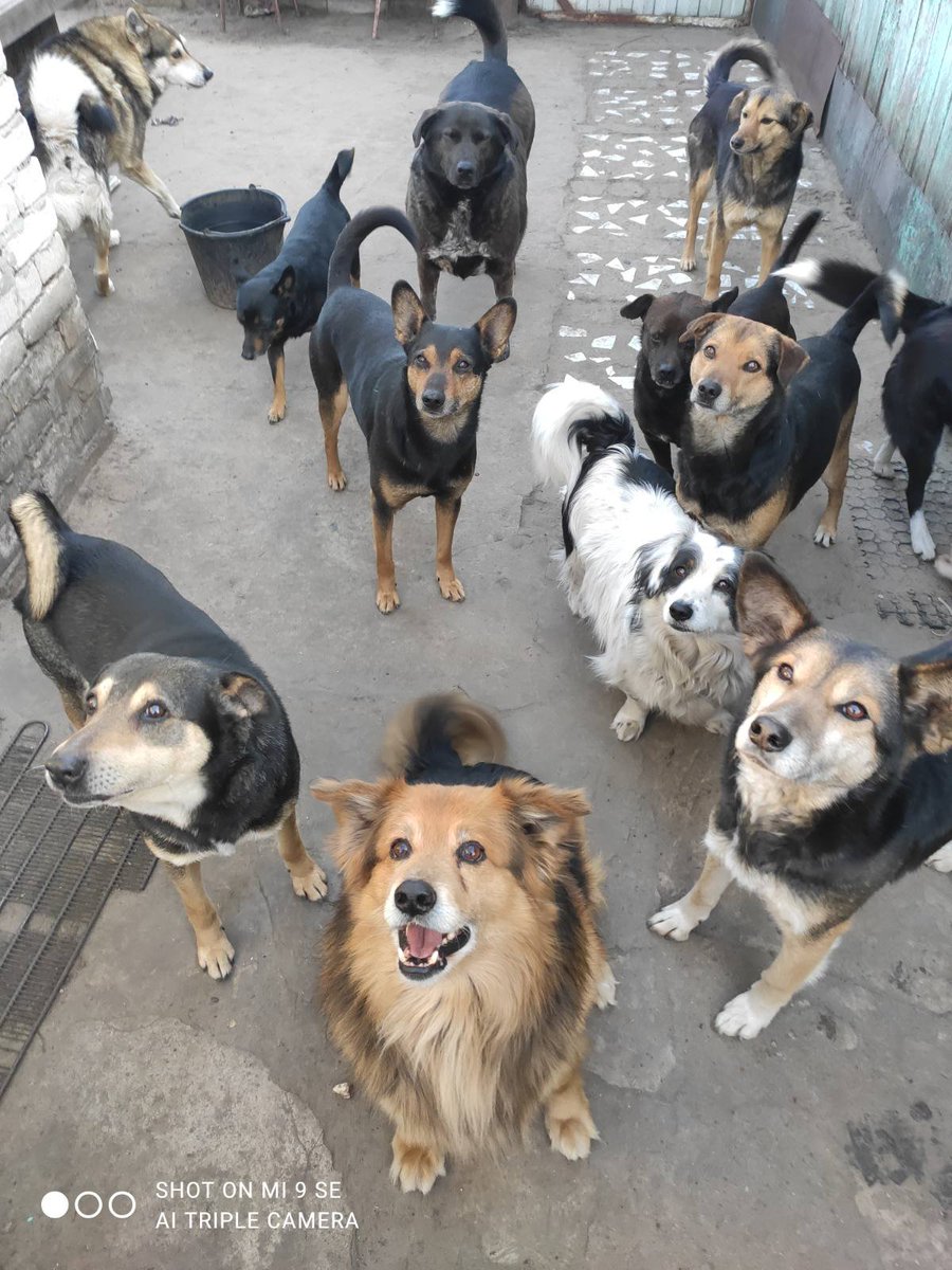 Наши дворяне перед ужином.