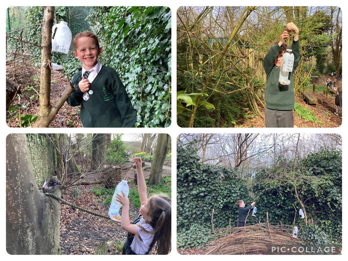Y1Woodfield's tweet photo. What a busy afternoon! Our fantastic Year 1 scientists have been learning the difference between recycling and reusing. They have been able to reuse a milk bottle and turn it into a bird feeder. We then went outside to hang them up with some bird seed in. #WoodfieldScience https://t.co/RChDO6ueLv