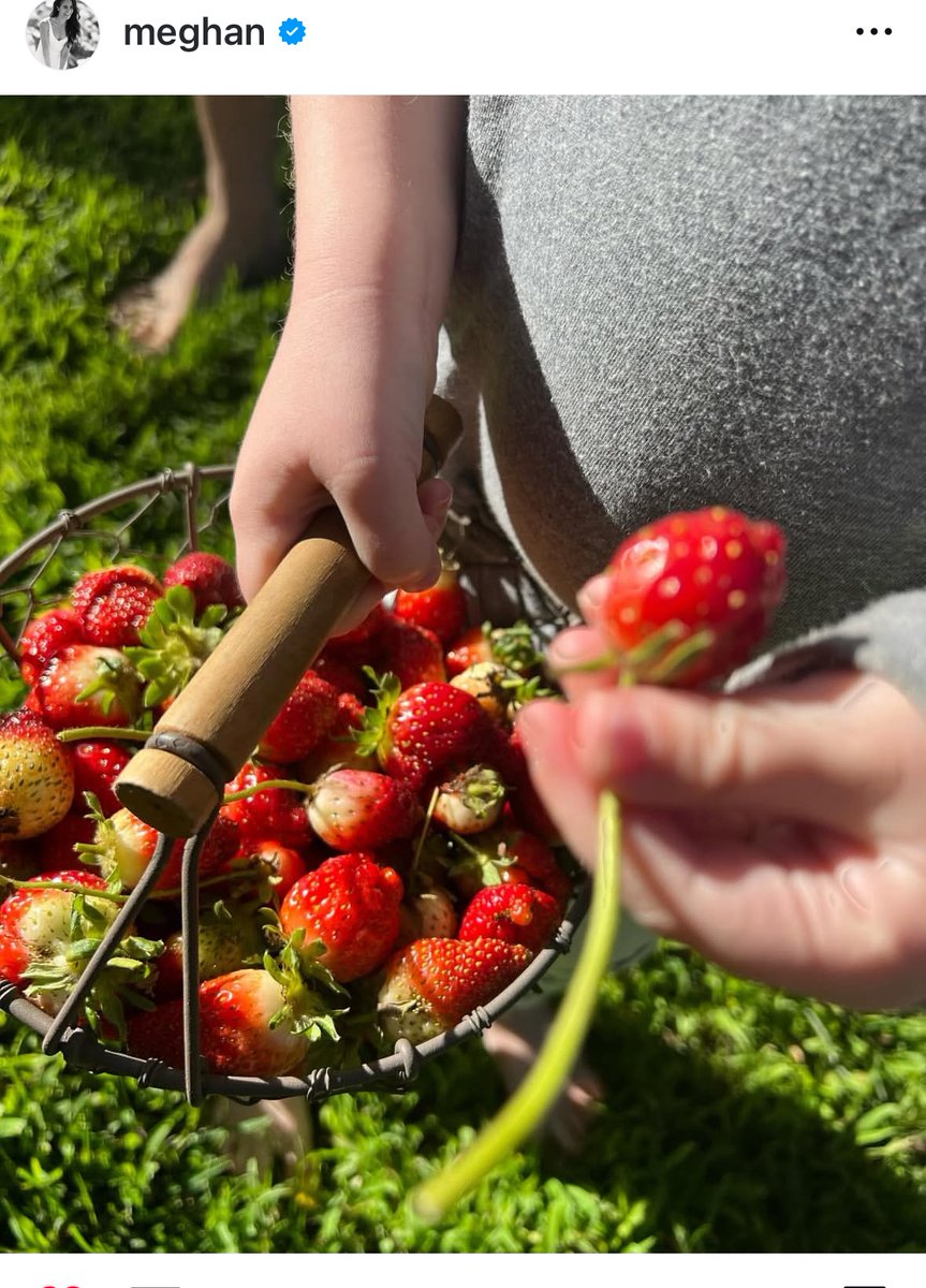 Cayenne2u1's tweet image. “This is the fun part. Let’s enjoy it!” —Meghan Sussex 💕

#FirstDayOfSpring 
#WithLoveMeghanOnNetflix 
#AsEverMeghan