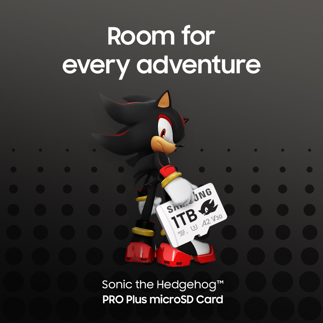 SamsungCanada's tweet photo. Break gaming barriers like Shadow. Available in capacities up to 1TB, the Sonic the Hedgehog™ #PROPlus #microSD Card can store a library of as many as 45 current-gen titles on your handheld console (assuming each game averages to ~20GB).

Learn more: https://t.co/VEAyw4NAWX https://t.co/00jjVIezIw