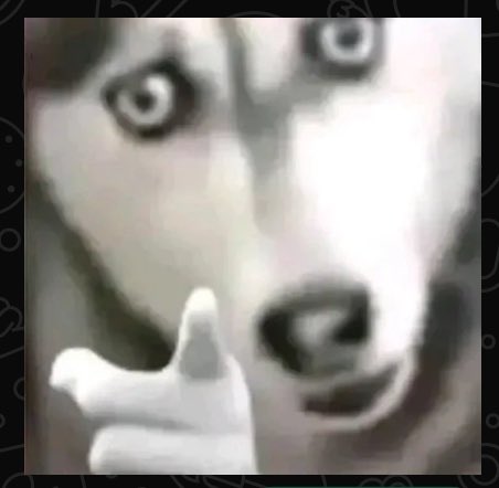 A Venda Uppity African 🇿🇦🇿🇦 tweet media