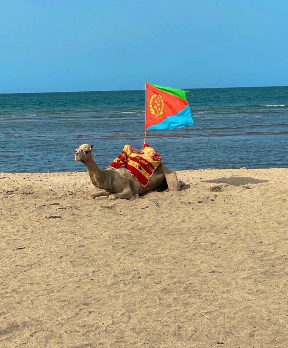 A picture is a poem without words.

#Eritrea