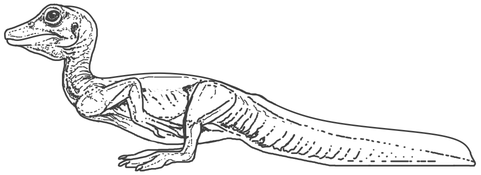 Hatchling Spinosaurus sketch. I didn't used any reference at all, I just wanted to make something cute and silly.