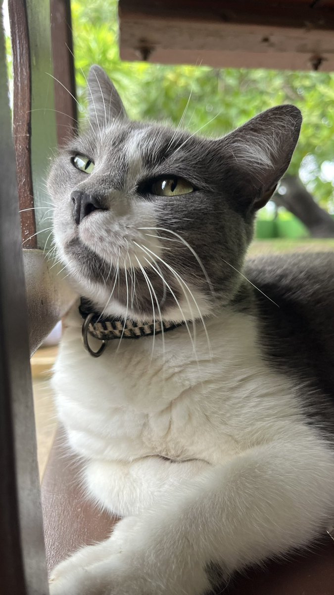 rewbb's tweet image. Tudo que eu mais amei no mundo nessas duas fotos💛 Eu te amo muito Spencer, eu sempre vou amar.