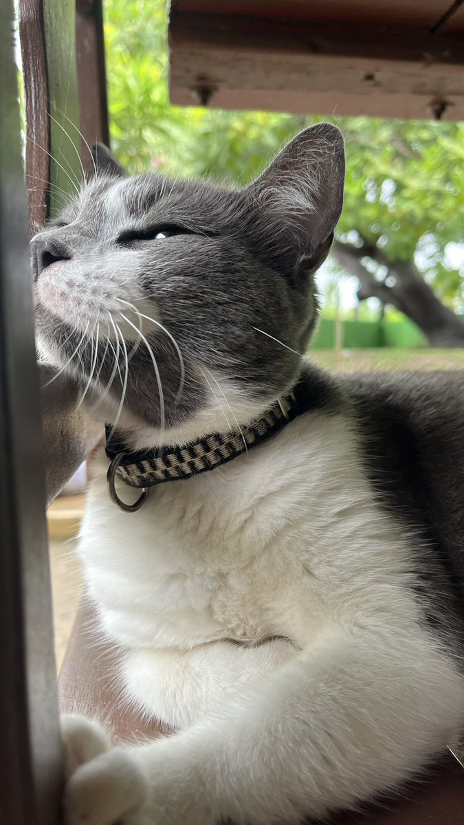 rewbb's tweet image. Tudo que eu mais amei no mundo nessas duas fotos💛 Eu te amo muito Spencer, eu sempre vou amar.