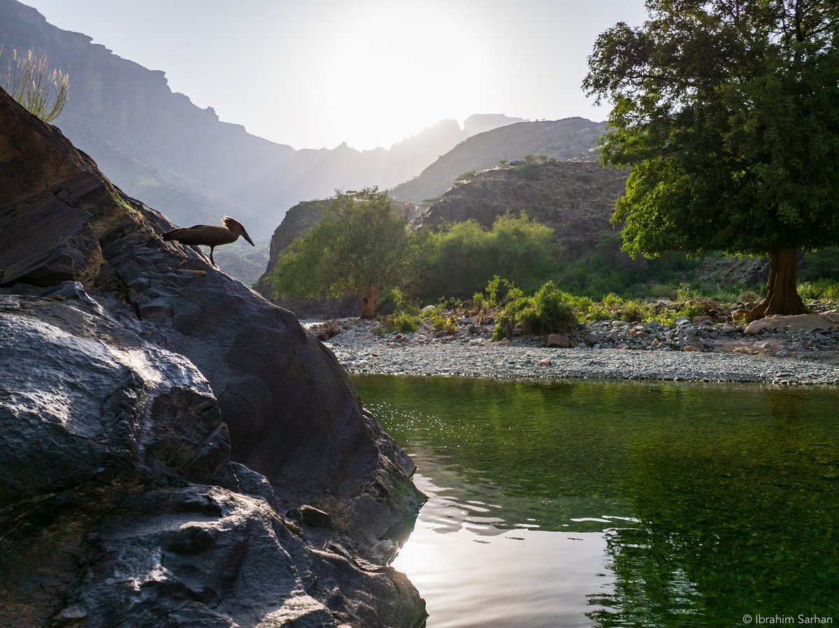 sarhaniy's tweet photo. أحد الأودية النائية في السعودية 📍🗺️
Remote valley in Saudi Arabia https://t.co/Z5vaRTOkMT