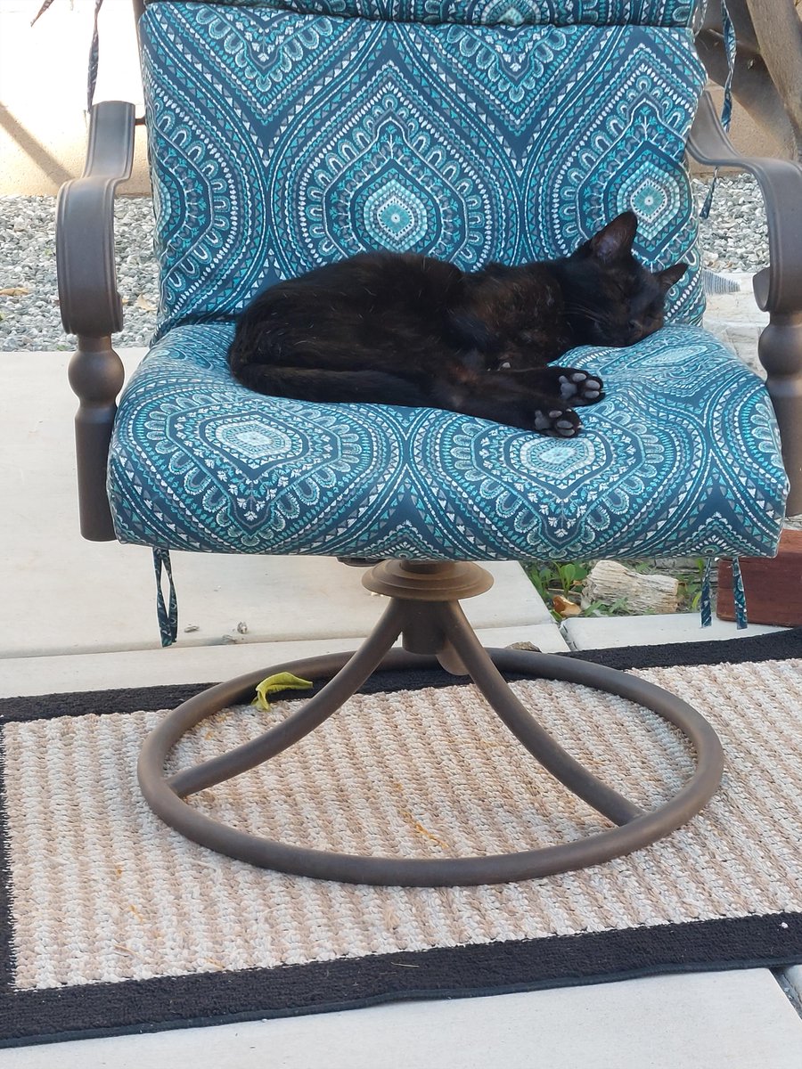 Janet | ghiblimagic on 🦋 tweet media