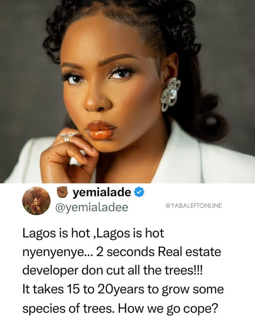 YabaLeftOnline tweet media