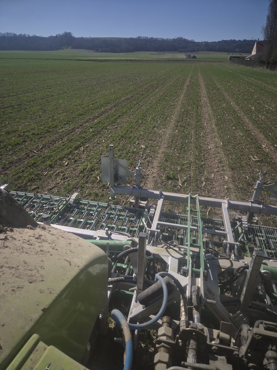 Quand le plan A a pas suffisamment fonctionné le B non plus 😫ont passe au C passage herse étrille 🤞sinon ont passera au D ensileuse 😪