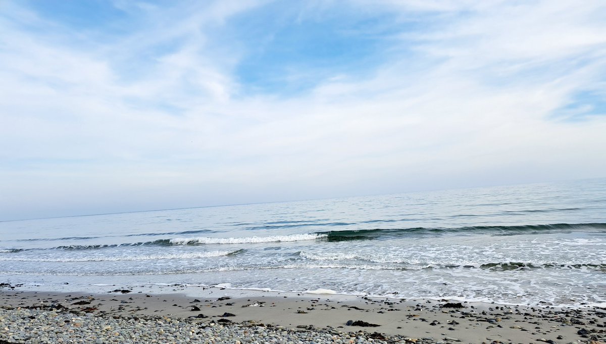 Karen Douglas tweet media