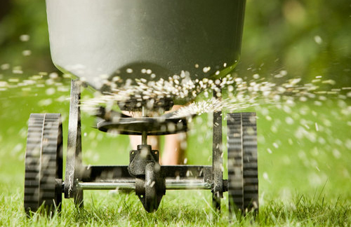 TenBargeSeed's tweet photo. 🌾 Did You Know? 🌾
Overseeding in early spring can help fill in bare spots and create a thick, lush lawn! 🌱✨
Get ahead of the game and give your grass a head start! 🏡
#LushLawn #SpringSeeding #GreenThumb https://t.co/yWtdCOGwSH