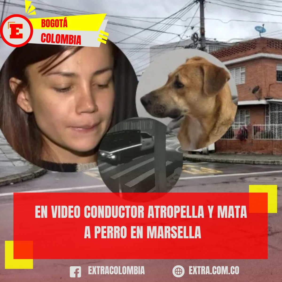 💔 #TerribleCaso en #Bogotá: una camioneta arrolló a un perro y huyó sin ayudar. El hecho quedó grabado en video y su dueña clama justicia. 🐾🚨 #Noticias #NoMásMaltratoAnimal #Colombia
Info👉extra.com.co/en-video-condu…