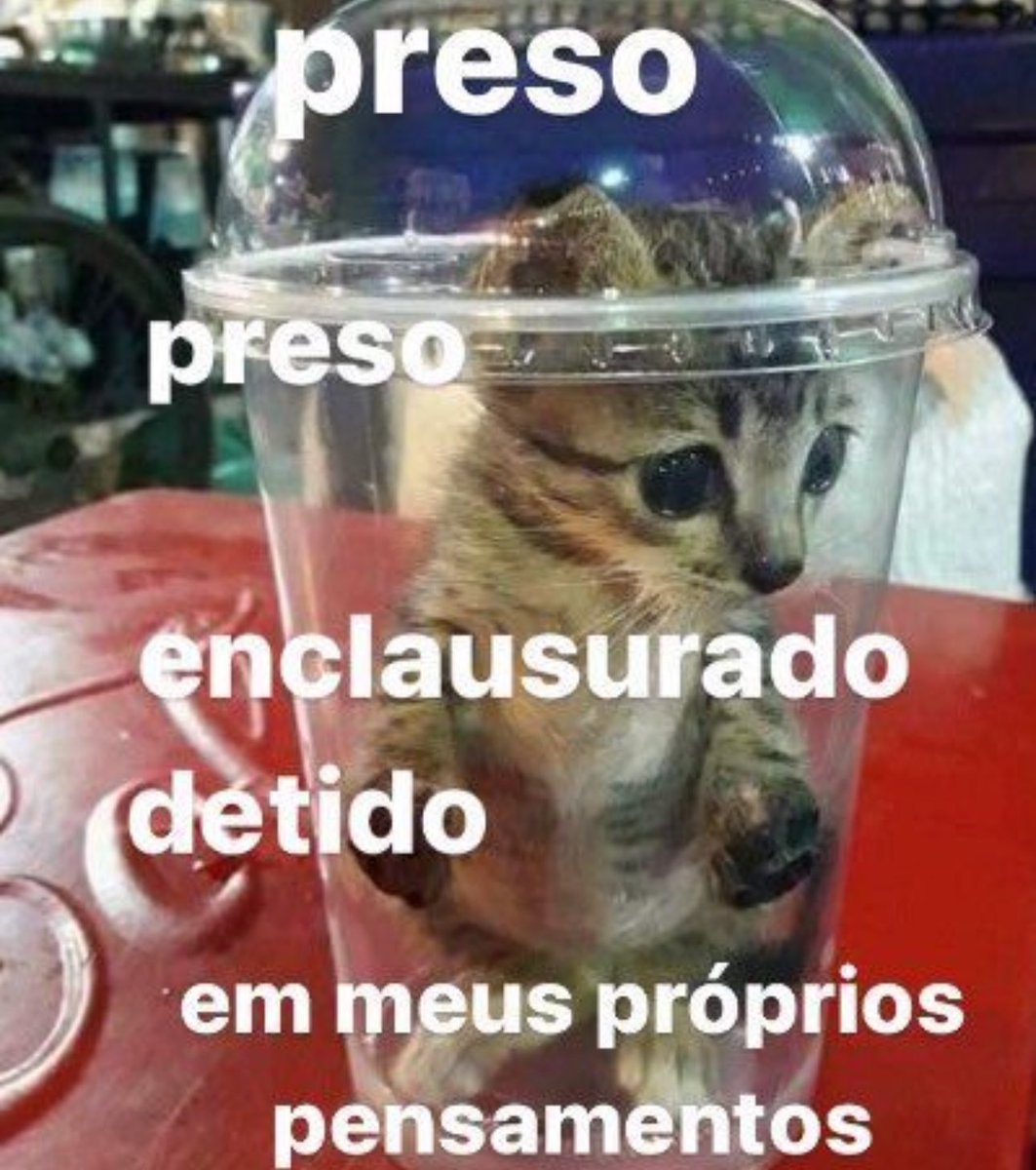 shitpostverdade's tweet photo. https://t.co/xLBroGz6Hf