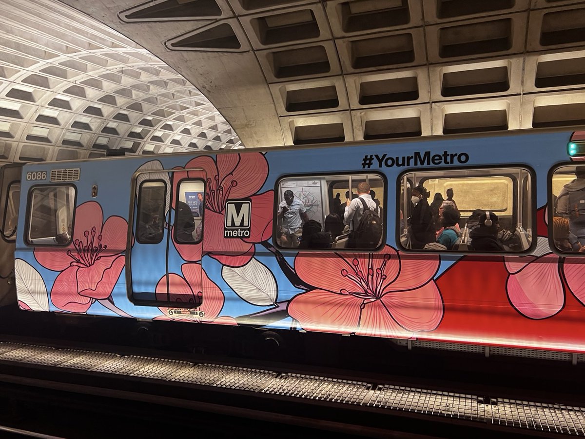 JUST IN: 🚨This is not a drill! 🚨 Our cherry blossom train made an early debut! Catch it out in the wild at a station near you 🌸