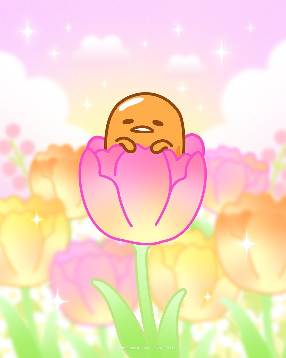 gudetamatweets's tweet image. happy #firstdayofspring 🌷