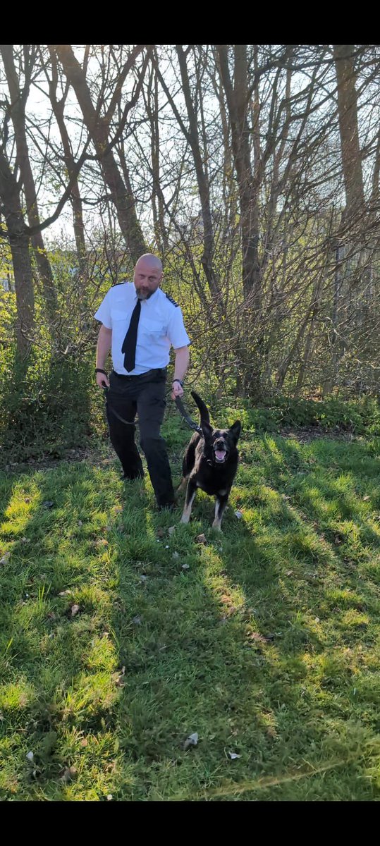 Congratulations to both GPD Rocco and GPD Hades and ofcourse their handlers for successfully passing their annual licnese today at <a href="/hmpbelmarsh/">@HMPBelmarsh</a>. Excellent standard shown on the day. Well done and love the shades 😎 #MOJ #HMPPS #workingdog #K9