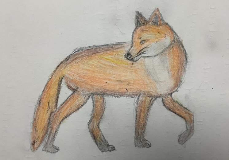 Coughton Primary tweet media