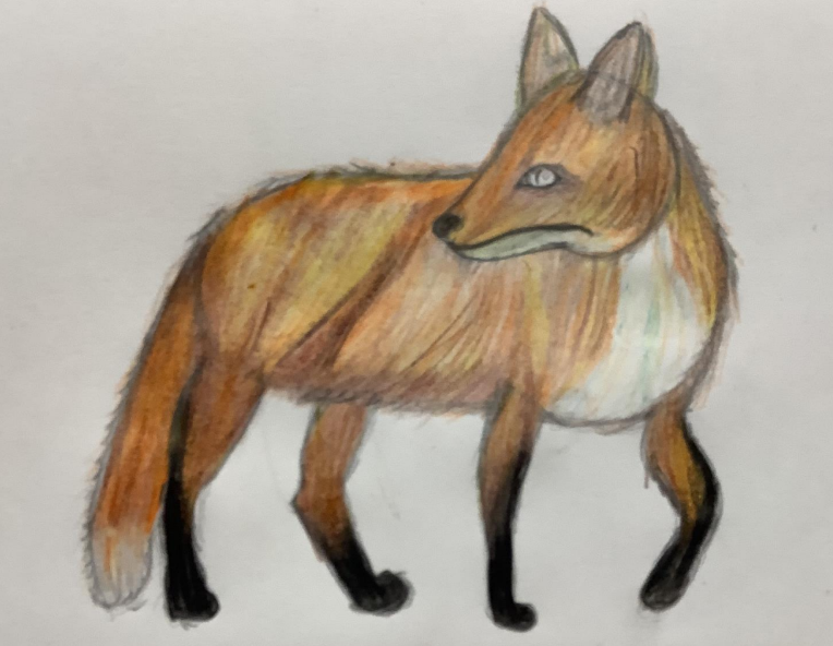 Oak have created some amazing drawings of 'Malkin' from their class text 'Cogheart'.