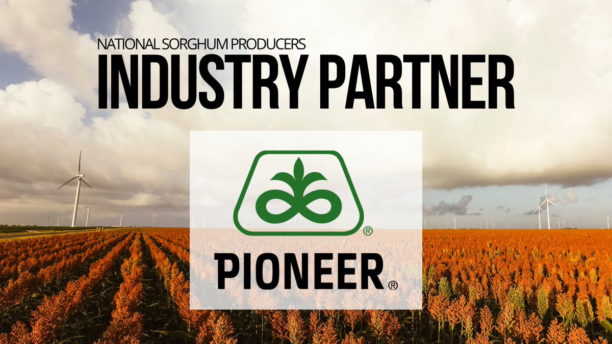 National Sorghum Producers (@sorghumgrowers) on Twitter photo Thank you <a href="/PioneerSeeds/">Pioneer Seeds U.S.</a>, one of our Gold+ NSP Industry Partners!
With the largest selection of sorghum hybrids backed by extensive research, local testing and expertise, <a href="/PioneerSeeds/">Pioneer Seeds U.S.</a> continues to drive innovation in the industry. Thank you! Thank you <a href="/PioneerSeeds/">Pioneer Seeds U.S.</a>, one of our Gold+ NSP Industry Partners!
With the largest selection of sorghum hybrids backed by extensive research, local testing and expertise, <a href="/PioneerSeeds/">Pioneer Seeds U.S.</a> continues to drive innovation in the industry. Thank you!