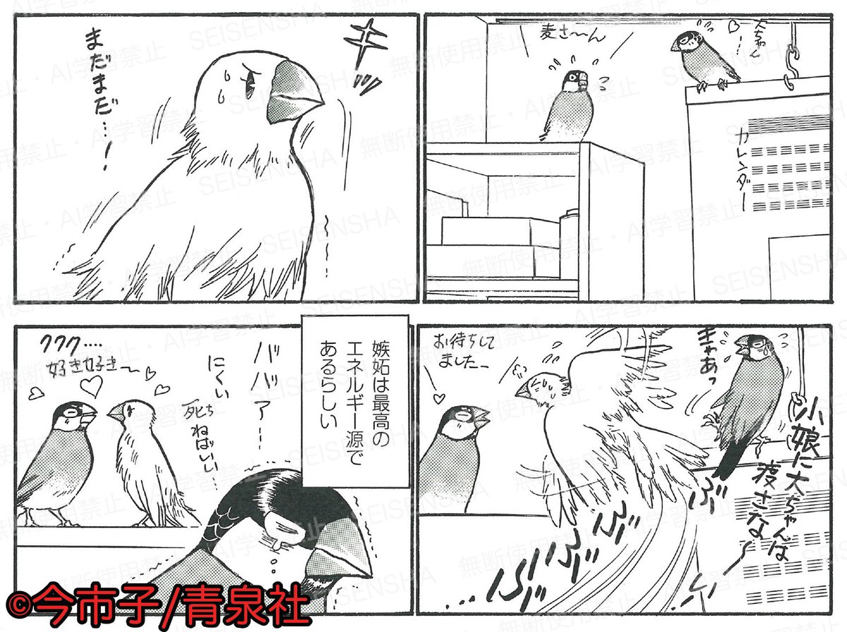 今市子先生最新刊コミックス『文鳥様と私』25巻発売！ 麦ちゃん7歳 