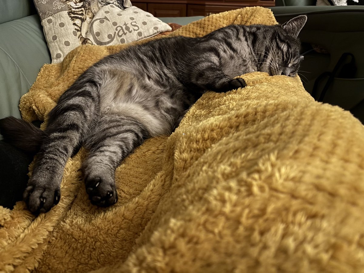 Wenn dich das Spiel #ITAGER überhaupt nicht interessiert