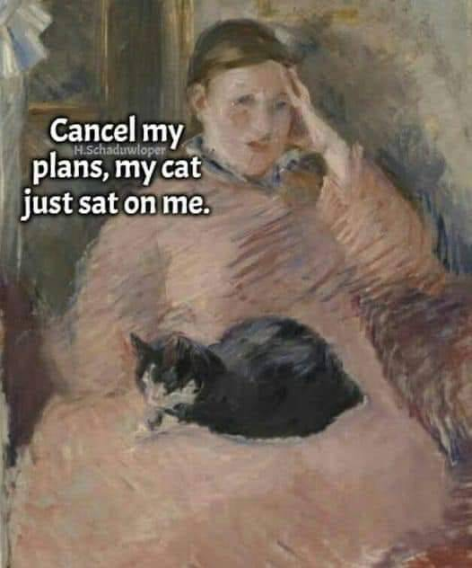 WholesomeMeme's tweet image. 