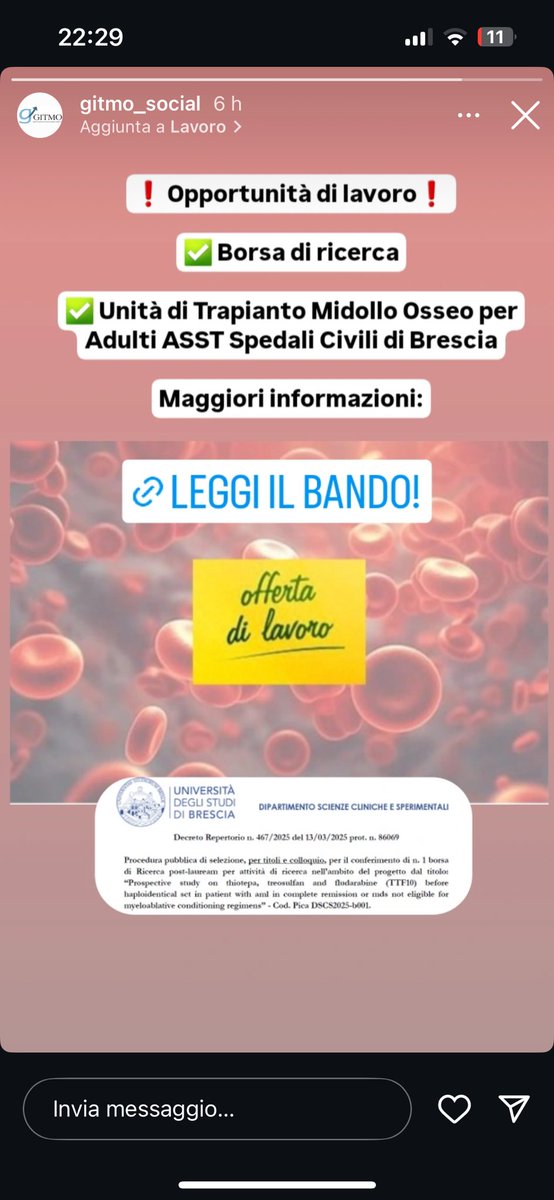 🩸 Borsa di ricerca presso il nostro Centro Trapianti Midollo Osseo Adulti 🔬 🧬 
Link: unibs.it/it/ateneo/lavo…