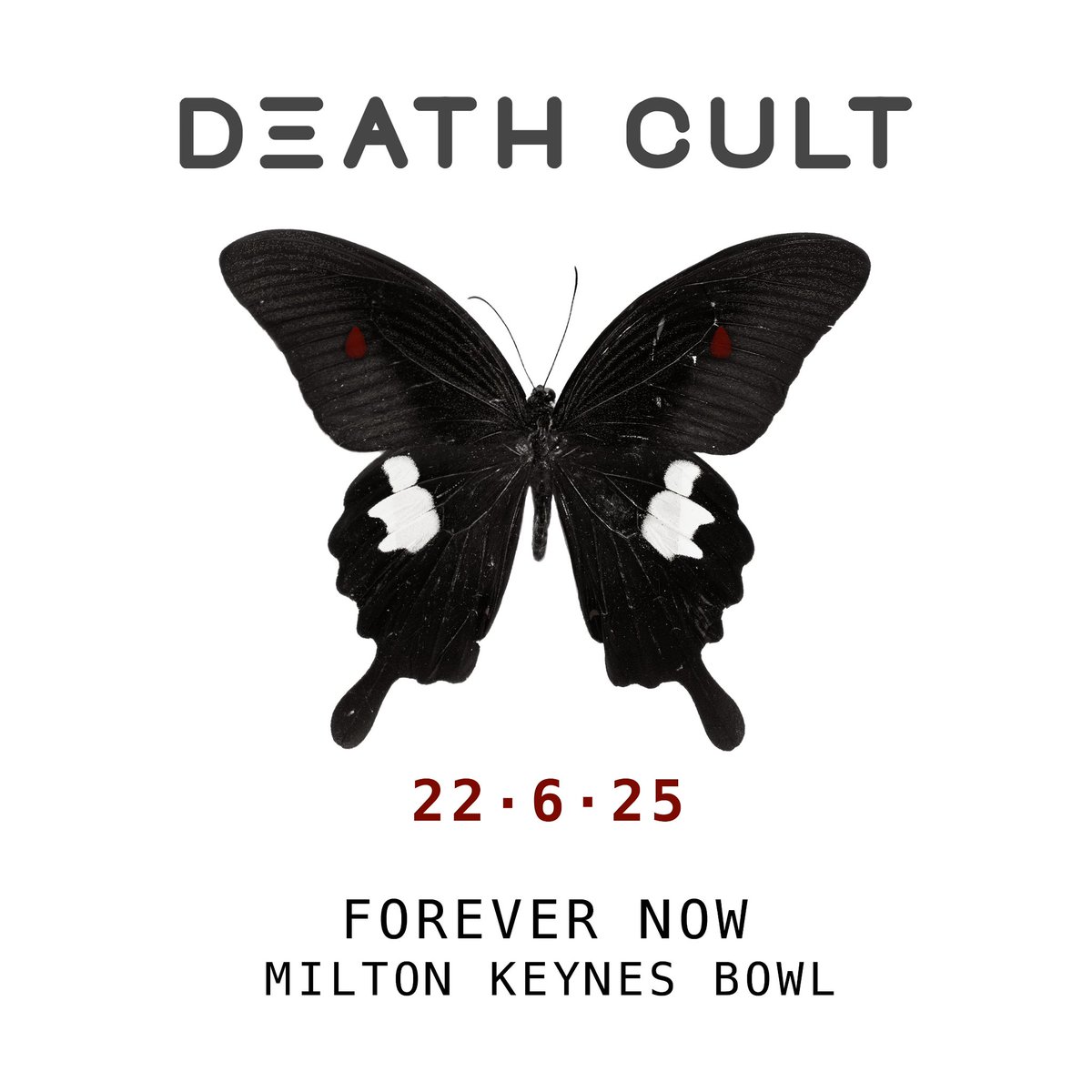 DEATH CULT // 22 • 6 • 25 
@forevernow_festival 

TICKETS: thecult.us/official